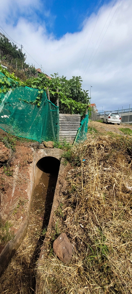01.07.2022 Levadaentdeckungen oberhalb von Camara de Lobos — Passage unterhalb der Autobahn — Foto 5