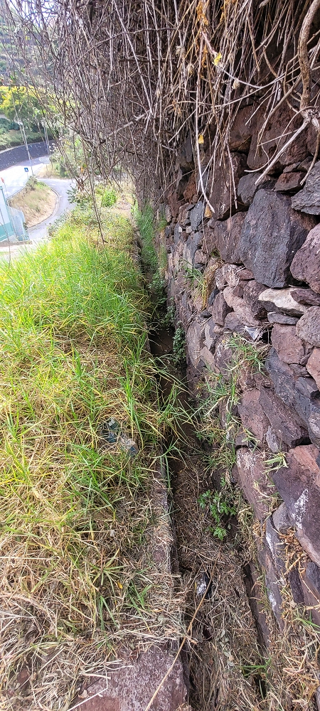 01.07.2022 Levadaentdeckungen oberhalb von Camara de Lobos — Weiterverlauf der Levada de Braz Gil de Faria — Foto 1