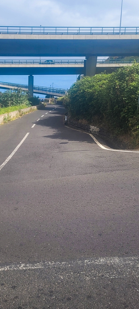 01.07.2022 Levadaentdeckungen oberhalb von Camara de Lobos — Weiterverlauf der Levada de Braz Gil de Faria — Foto 4