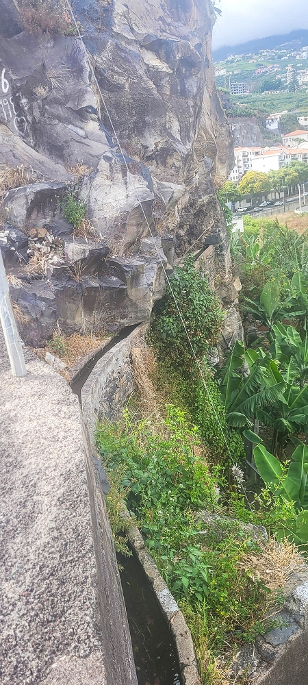 01.07.2022 Levadaentdeckungen oberhalb von Camara de Lobos — Endast der Levada da Castanheira — Foto 3