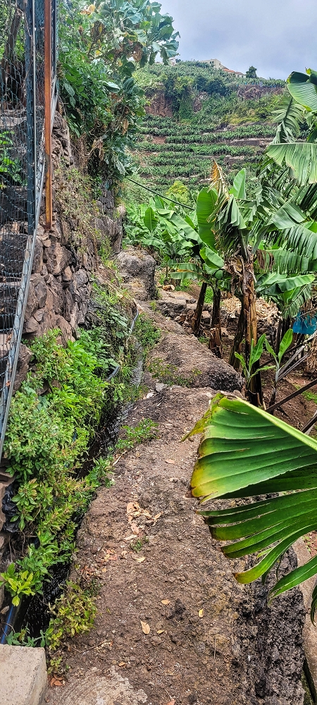 01.07.2022 Levadaentdeckungen oberhalb von Camara de Lobos — Entlang der Levada da Castanheira bis zum Wasserfall — Foto 10