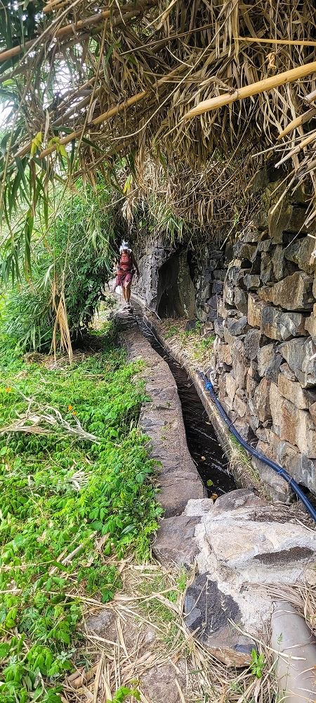 01.07.2022 Levadaentdeckungen oberhalb von Camara de Lobos — Entlang der Levada da Castanheira bis zum Wasserfall — Foto 11