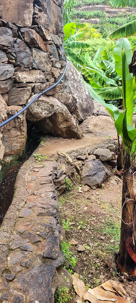 01.07.2022 Levadaentdeckungen oberhalb von Camara de Lobos — Entlang der Levada da Castanheira bis zum Wasserfall — Foto 12