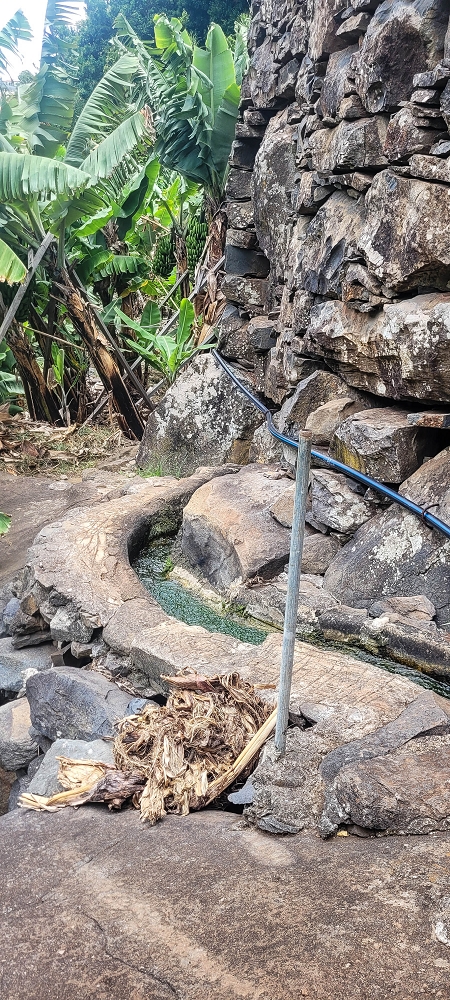 01.07.2022 Levadaentdeckungen oberhalb von Camara de Lobos — Entlang der Levada da Castanheira bis zum Wasserfall — Foto 13