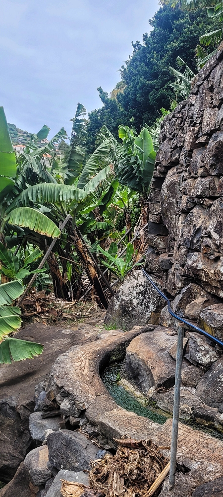 01.07.2022 Levadaentdeckungen oberhalb von Camara de Lobos — Entlang der Levada da Castanheira bis zum Wasserfall — Foto 14