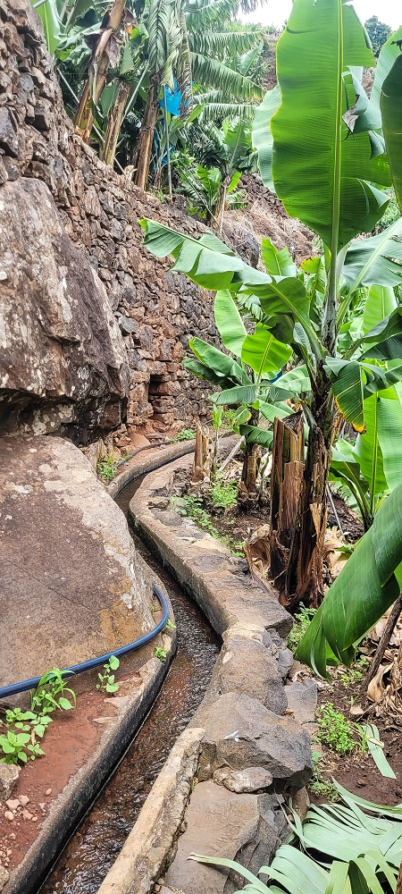 01.07.2022 Levadaentdeckungen oberhalb von Camara de Lobos — Entlang der Levada da Castanheira bis zum Wasserfall — Foto 15