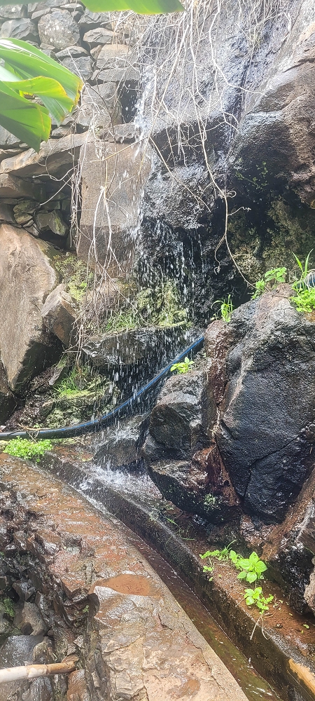 01.07.2022 Levadaentdeckungen oberhalb von Camara de Lobos — Entlang der Levada da Castanheira bis zum Wasserfall — Foto 17