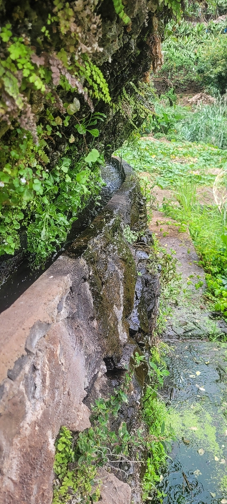 01.07.2022 Levadaentdeckungen oberhalb von Camara de Lobos — Entlang der Levada da Castanheira bis zum Wasserfall — Foto 18