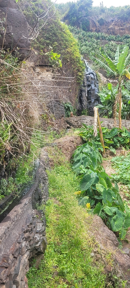 01.07.2022 Levadaentdeckungen oberhalb von Camara de Lobos — Entlang der Levada da Castanheira bis zum Wasserfall — Foto 19