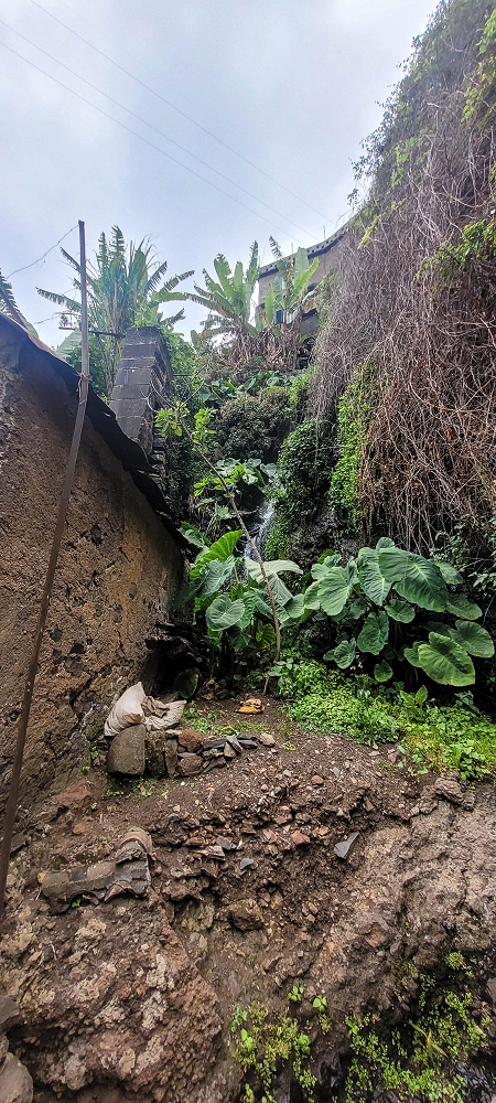 01.07.2022 Levadaentdeckungen oberhalb von Camara de Lobos — Die drei Wassermühlen — Foto 1