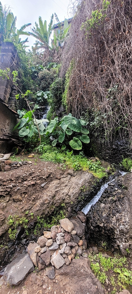 01.07.2022 Levadaentdeckungen oberhalb von Camara de Lobos — Die drei Wassermühlen — Foto 2