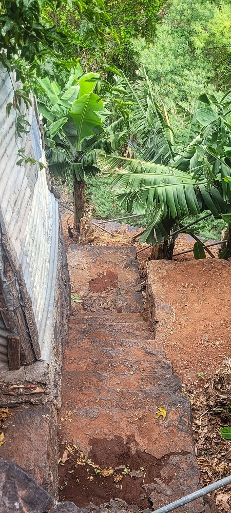 01.07.2022 Levadaentdeckungen oberhalb von Camara de Lobos — Die drei Wassermühlen — Foto 13