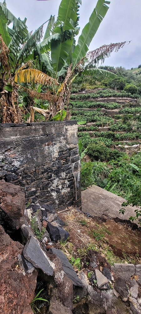 01.07.2022 Levadaentdeckungen oberhalb von Camara de Lobos — Die drei Wassermühlen — Foto 16