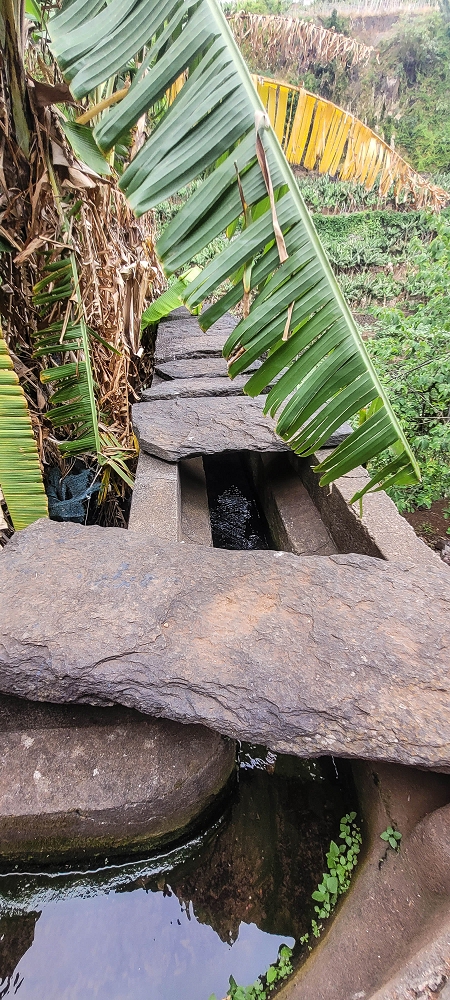 01.07.2022 Levadaentdeckungen oberhalb von Camara de Lobos — Die drei Wassermühlen — Foto 19