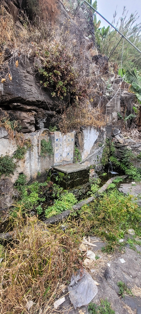 01.07.2022 Levadaentdeckungen oberhalb von Camara de Lobos — Aufstieg zur Levada da Castanheira, Fonte da Pedra — Foto 7