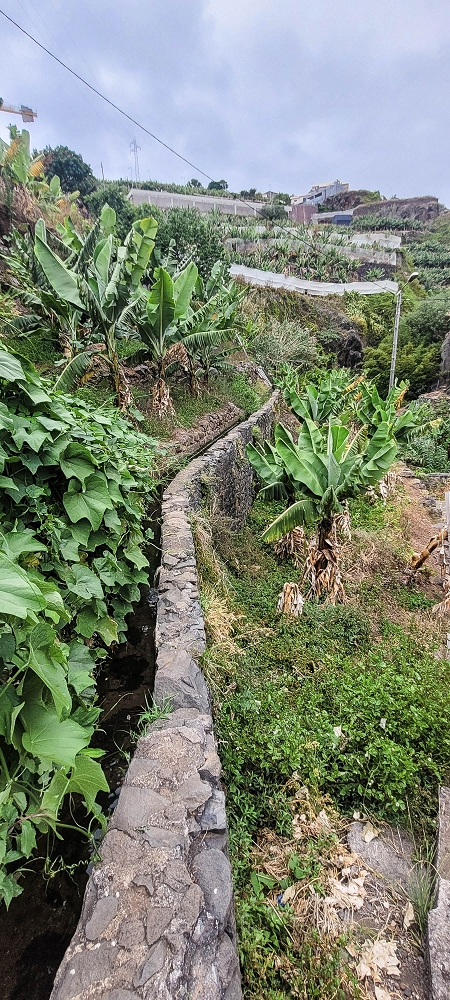 01.07.2022 Levadaentdeckungen oberhalb von Camara de Lobos — Zur Madre der Levada da Castanheira — Foto 1