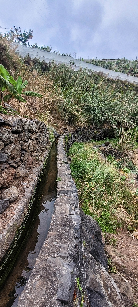 01.07.2022 Levadaentdeckungen oberhalb von Camara de Lobos — Zur Madre der Levada da Castanheira — Foto 2