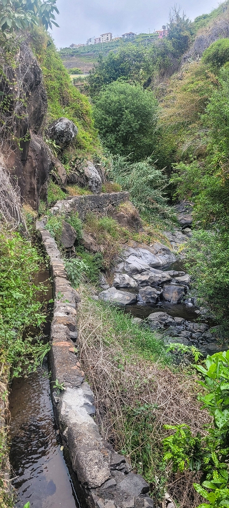 01.07.2022 Levadaentdeckungen oberhalb von Camara de Lobos — Zur Madre der Levada da Castanheira — Foto 4