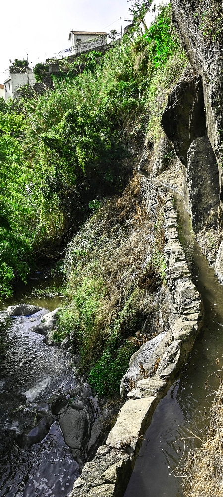 01.07.2022 Levadaentdeckungen oberhalb von Camara de Lobos — Zur Madre der Levada da Castanheira — Foto 7