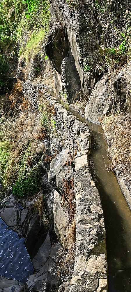 01.07.2022 Levadaentdeckungen oberhalb von Camara de Lobos — Zur Madre der Levada da Castanheira — Foto 8