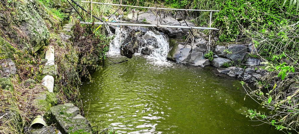 01.07.2022 Levadaentdeckungen oberhalb von Camara de Lobos — Zur Madre der Levada da Castanheira — Foto 9