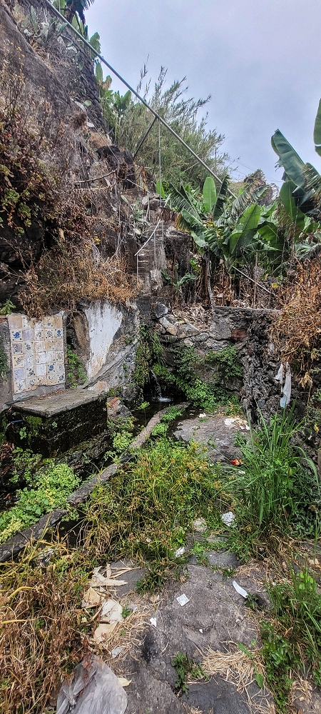 01.07.2022 Levadaentdeckungen oberhalb von Camara de Lobos — Aufstieg zur Levada da Castanheira, Fonte da Pedra — Foto 8