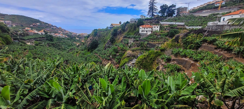 01.07.2022 Levadaentdeckungen oberhalb von Camara de Lobos — Ponte do Serrado und die 3 Wassermühlen von der andern Seite — Foto 8