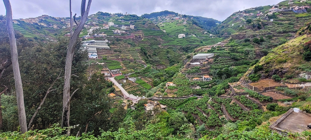 01.07.2022 Levadaentdeckungen oberhalb von Camara de Lobos — Vereda da Ribeira da Caixa — Foto 1