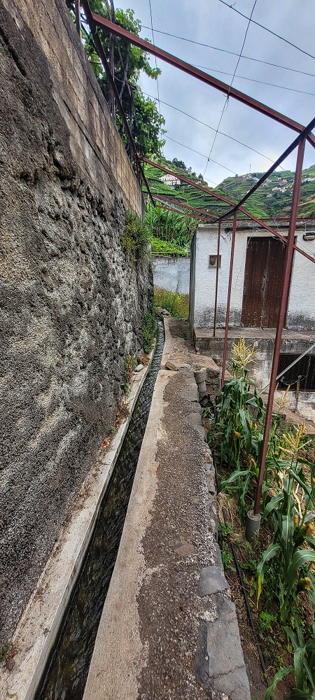 01.07.2022 Levadaentdeckungen oberhalb von Camara de Lobos — Der obere Teil der Levada de Braz Gil de Faria — Foto 2