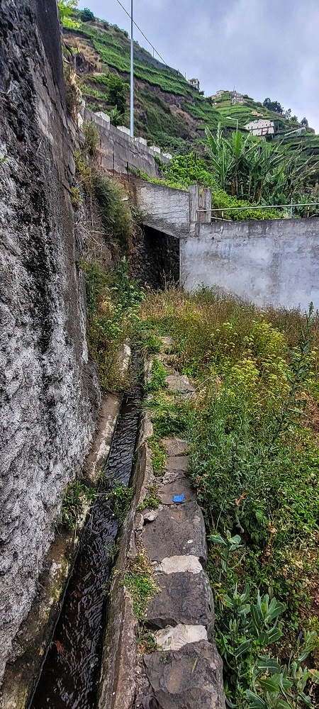 01.07.2022 Levadaentdeckungen oberhalb von Camara de Lobos — Der obere Teil der Levada de Braz Gil de Faria — Foto 3