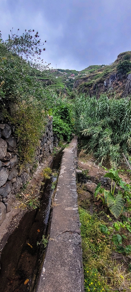 01.07.2022 Levadaentdeckungen oberhalb von Camara de Lobos — Der obere Teil der Levada de Braz Gil de Faria — Foto 4