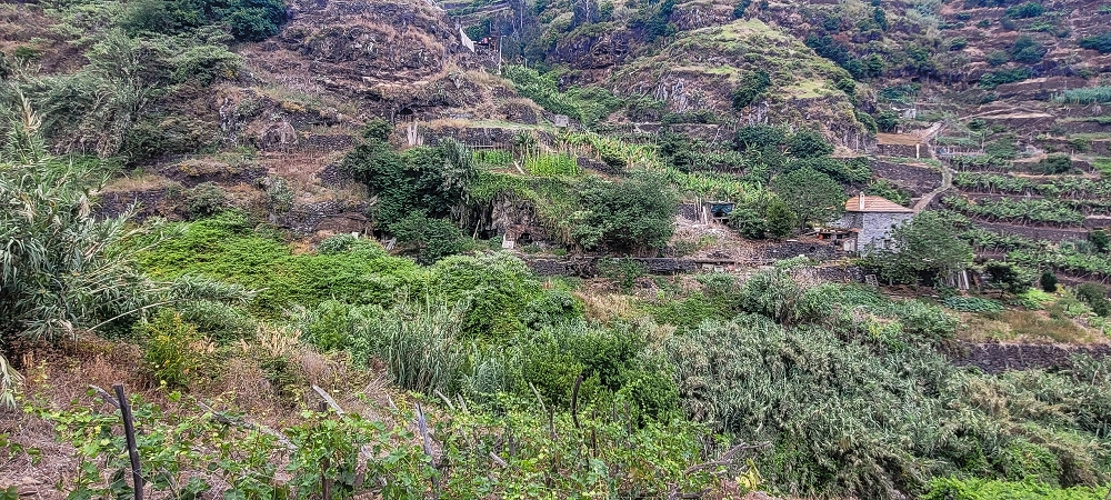 01.07.2022 Levadaentdeckungen oberhalb von Camara de Lobos — Der obere Teil der Levada de Braz Gil de Faria — Foto 5