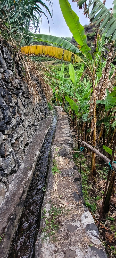 01.07.2022 Levadaentdeckungen oberhalb von Camara de Lobos — Der obere Teil der Levada de Braz Gil de Faria — Foto 6