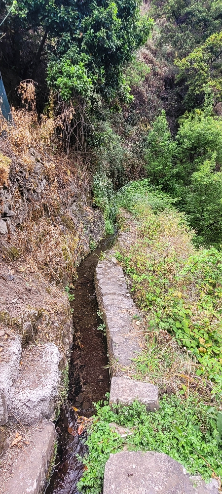 01.07.2022 Levadaentdeckungen oberhalb von Camara de Lobos — Der obere Teil der Levada de Braz Gil de Faria — Foto 7