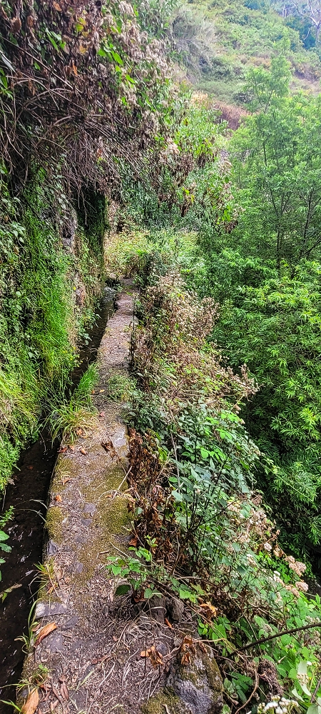 01.07.2022 Levadaentdeckungen oberhalb von Camara de Lobos — Der obere Teil der Levada de Braz Gil de Faria — Foto 8