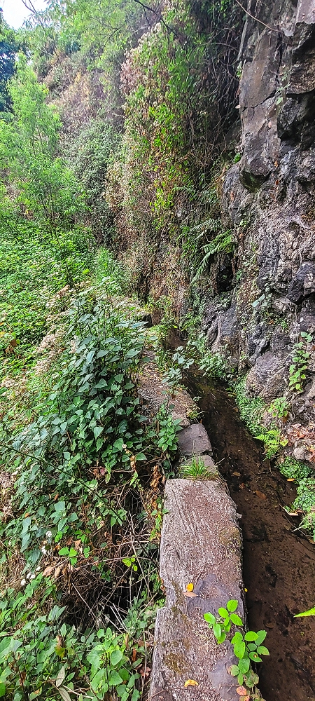 01.07.2022 Levadaentdeckungen oberhalb von Camara de Lobos — Der obere Teil der Levada de Braz Gil de Faria — Foto 9
