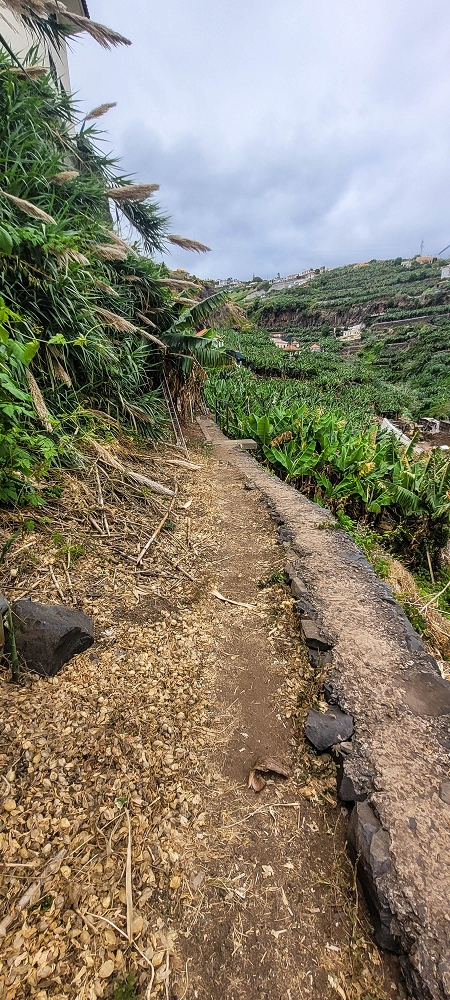 01.07.2022 Levadaentdeckungen oberhalb von Camara de Lobos — Entlang der Levada da Castanheira bis zum Wasserfall — Foto 2