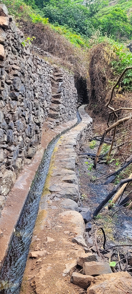 01.07.2022 Levadaentdeckungen oberhalb von Camara de Lobos — Der obere Teil der Levada de Braz Gil de Faria — Foto 10