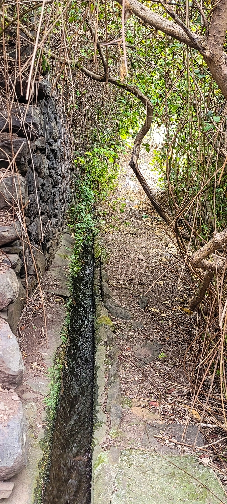 01.07.2022 Levadaentdeckungen oberhalb von Camara de Lobos — Der obere Teil der Levada de Braz Gil de Faria — Foto 11