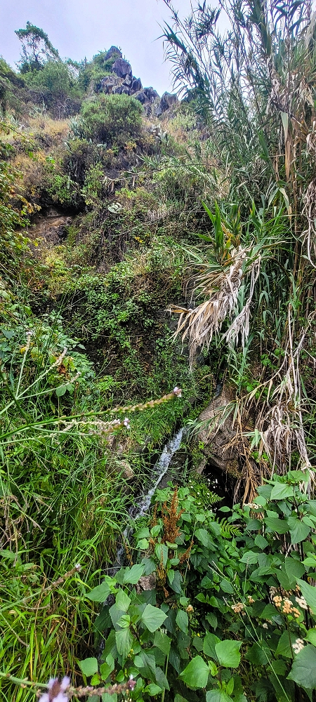 01.07.2022 Levadaentdeckungen oberhalb von Camara de Lobos — Madrebereich mit den Pocos und dem Wasserfall — Foto 1