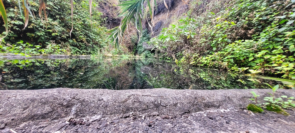 01.07.2022 Levadaentdeckungen oberhalb von Camara de Lobos — Madrebereich mit den Pocos und dem Wasserfall — Foto 2