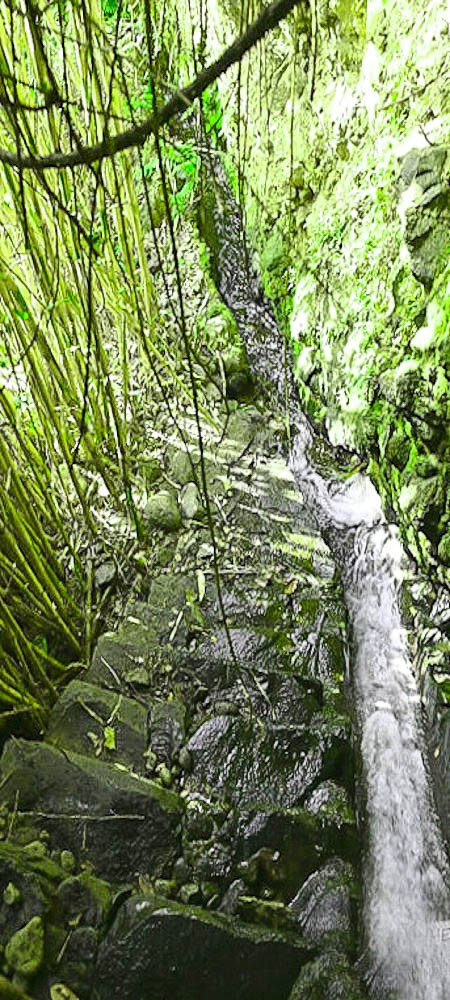 01.07.2022 Levadaentdeckungen oberhalb von Camara de Lobos — Madrebereich mit den Pocos und dem Wasserfall — Foto 4