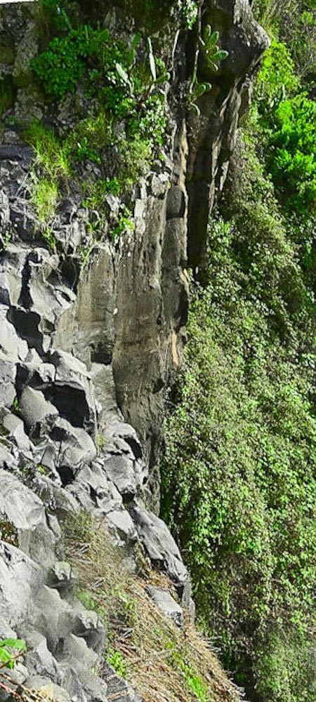 01.07.2022 Levadaentdeckungen oberhalb von Camara de Lobos — Madrebereich mit den Pocos und dem Wasserfall — Foto 5