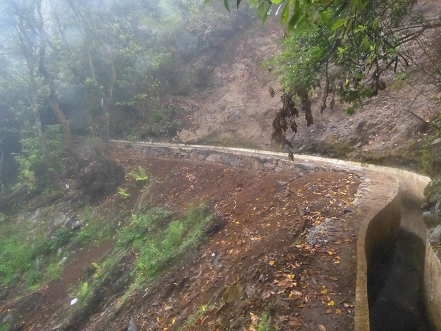 01.08.2014 Levada do Furado-Rundtour — Weiter zum Tunnel unter dem Pico do Suna — Foto 9
