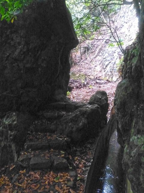01.08.2014 Levada do Furado-Rundtour — Weiter zum Tunnel unter dem Pico do Suna — Foto 12