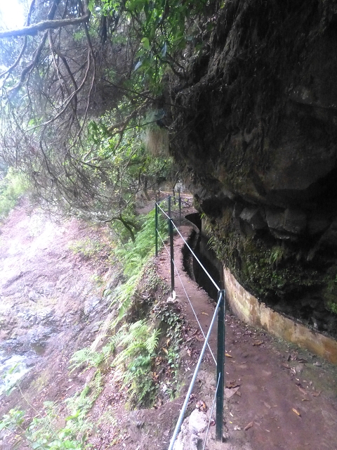 01.08.2014 Levada do Furado-Rundtour — Weiter zum Tunnel unter dem Pico do Suna — Foto 19
