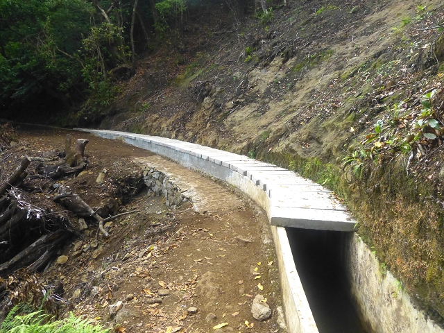 01.08.2014 Levada do Furado-Rundtour — Weiter zum Tunnel unter dem Pico do Suna — Foto 35