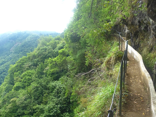 01.08.2014 Levada do Furado-Rundtour — Weiter bis zum Wasserhaus in Lamaceiros — Foto 5