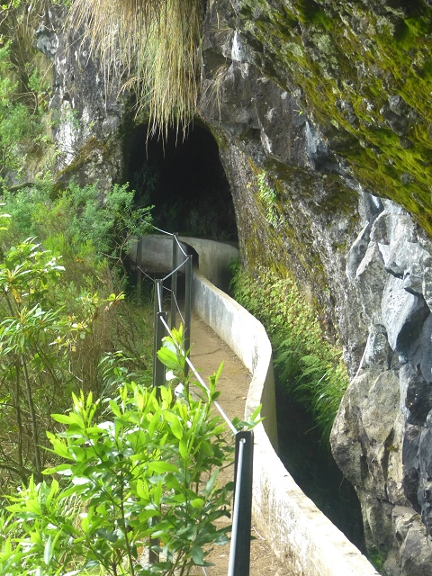 01.08.2014 Levada do Furado-Rundtour — Weiter bis zum Wasserhaus in Lamaceiros — Foto 7