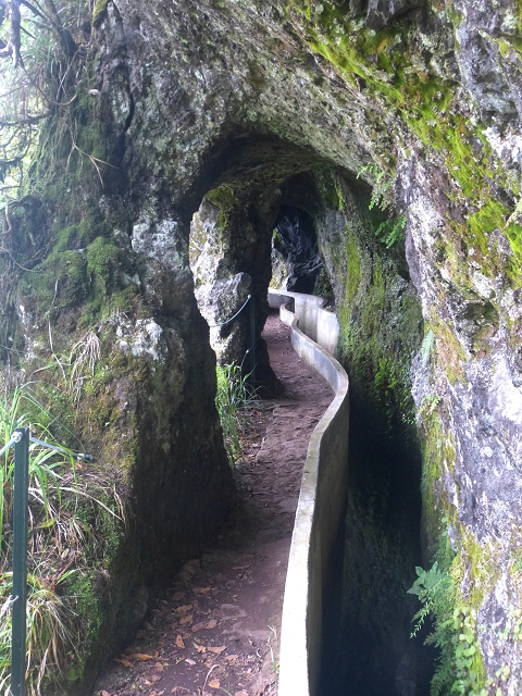 01.08.2014 Levada do Furado-Rundtour — Weiter bis zum Wasserhaus in Lamaceiros — Foto 9